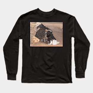 Ostrich Display Long Sleeve T-Shirt